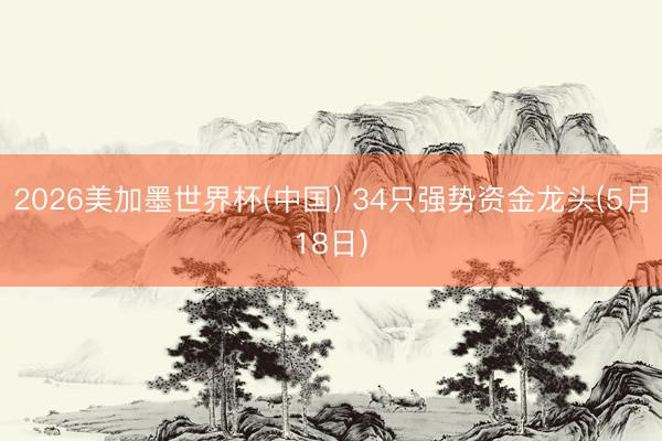 2026美加墨世界杯(中国) 34只强势资金龙头(5月18日)