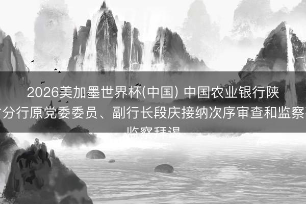 2026美加墨世界杯(中国) 中国农业银行陕西省分行原党委委员、副行长段庆接纳次序审查和监察拜谒
