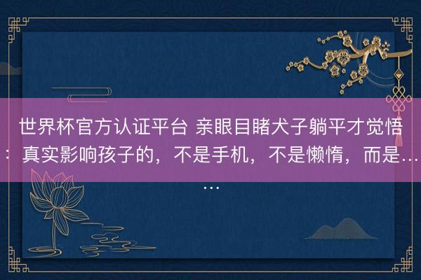 世界杯官方认证平台 亲眼目睹犬子躺平才觉悟:真实影响孩子的,不是手机,不是懒惰,而是…