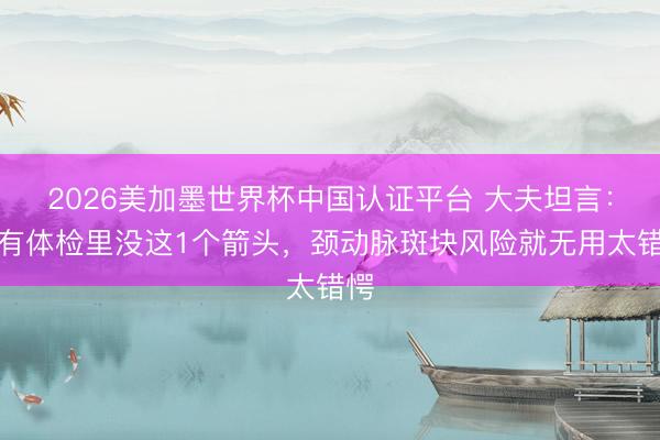 2026美加墨世界杯中国认证平台 大夫坦言：唯有体检里没这1个箭头，颈动脉斑块风险就无用太错愕