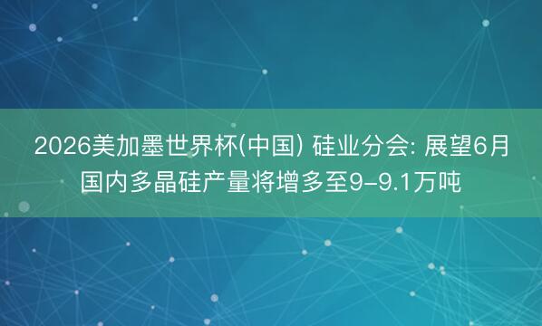 2026美加墨世界杯(中国) 硅业分会: 展望6月国内多晶硅产量将增多至9-9.1万吨