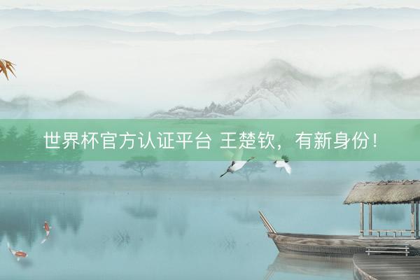 世界杯官方认证平台 王楚钦，有新身份！