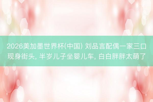 2026美加墨世界杯(中国) 刘品言配偶一家三口现身街头， 半岁儿子坐婴儿车， 白白胖胖太萌了