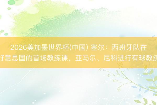 2026美加墨世界杯(中国) 塞尔：西班牙队在好意思国的首场教练课，亚马尔、尼科进行有球教练
