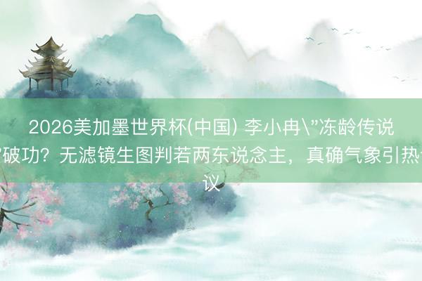 2026美加墨世界杯(中国) 李小冉