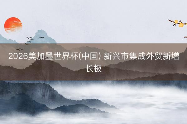 2026美加墨世界杯(中国) 新兴市集成外贸新增长极