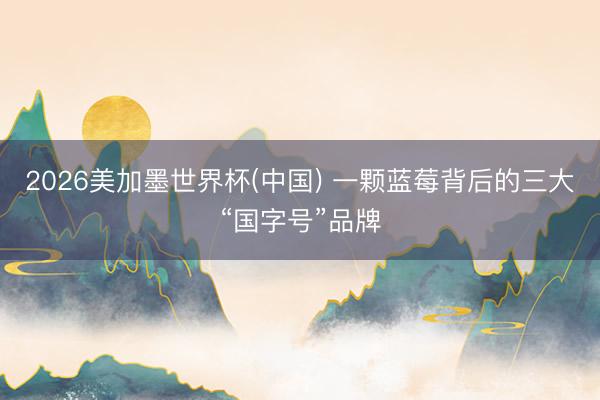 2026美加墨世界杯(中国) 一颗蓝莓背后的三大“国字号”品牌
