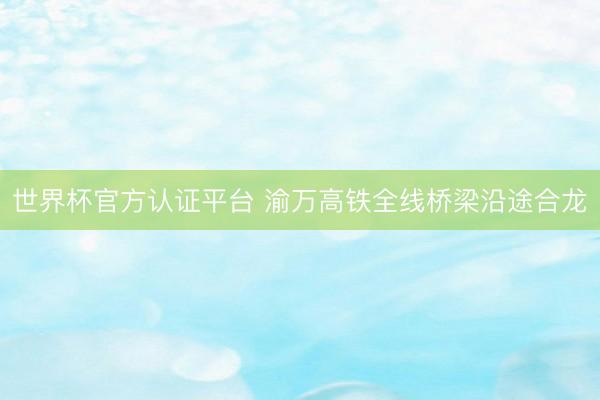 世界杯官方认证平台 渝万高铁全线桥梁沿途合龙