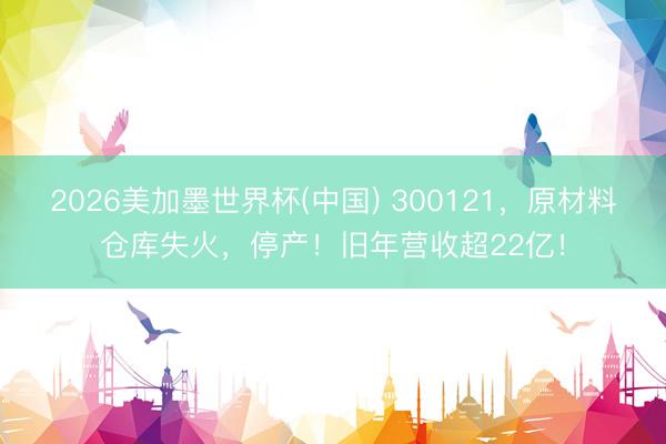 2026美加墨世界杯(中国) 300121，原材料仓库失火，停产！旧年营收超22亿！