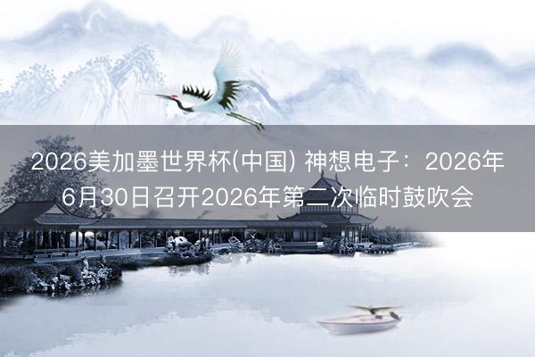 2026美加墨世界杯(中国) 神想电子：2026年6月30日召开2026年第二次临时鼓吹会