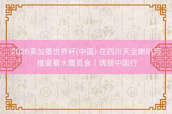 2026美加墨世界杯(中国) 在四川天全喇叭河 推窗看水鹿觅食丨瑰丽中国行