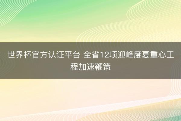世界杯官方认证平台 全省12项迎峰度夏重心工程加速鞭策