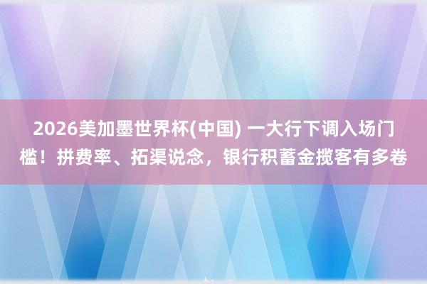 2026美加墨世界杯(中国) 一大行下调入场门槛!拼费率、拓渠说念,银行积蓄金揽客有多卷