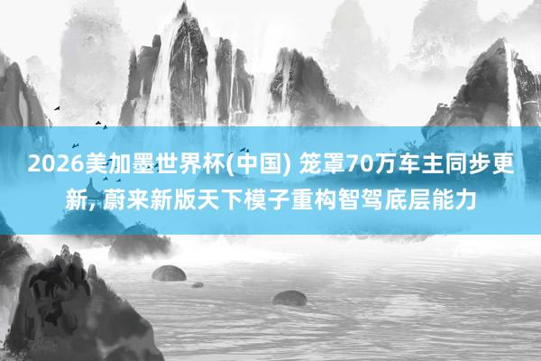 2026美加墨世界杯(中国) 笼罩70万车主同步更新， 蔚来新版天下模子重构智驾底层能力